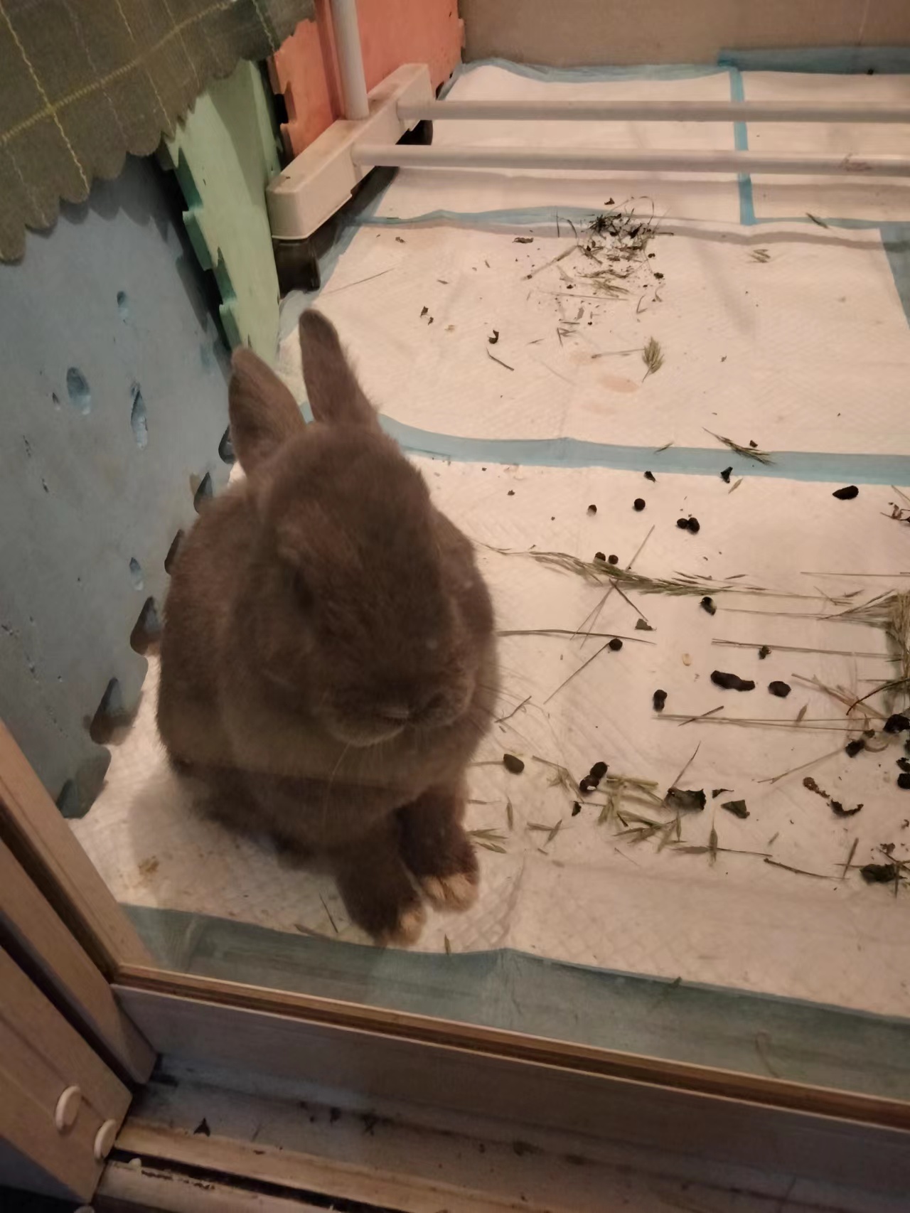 鿴ͼƬ