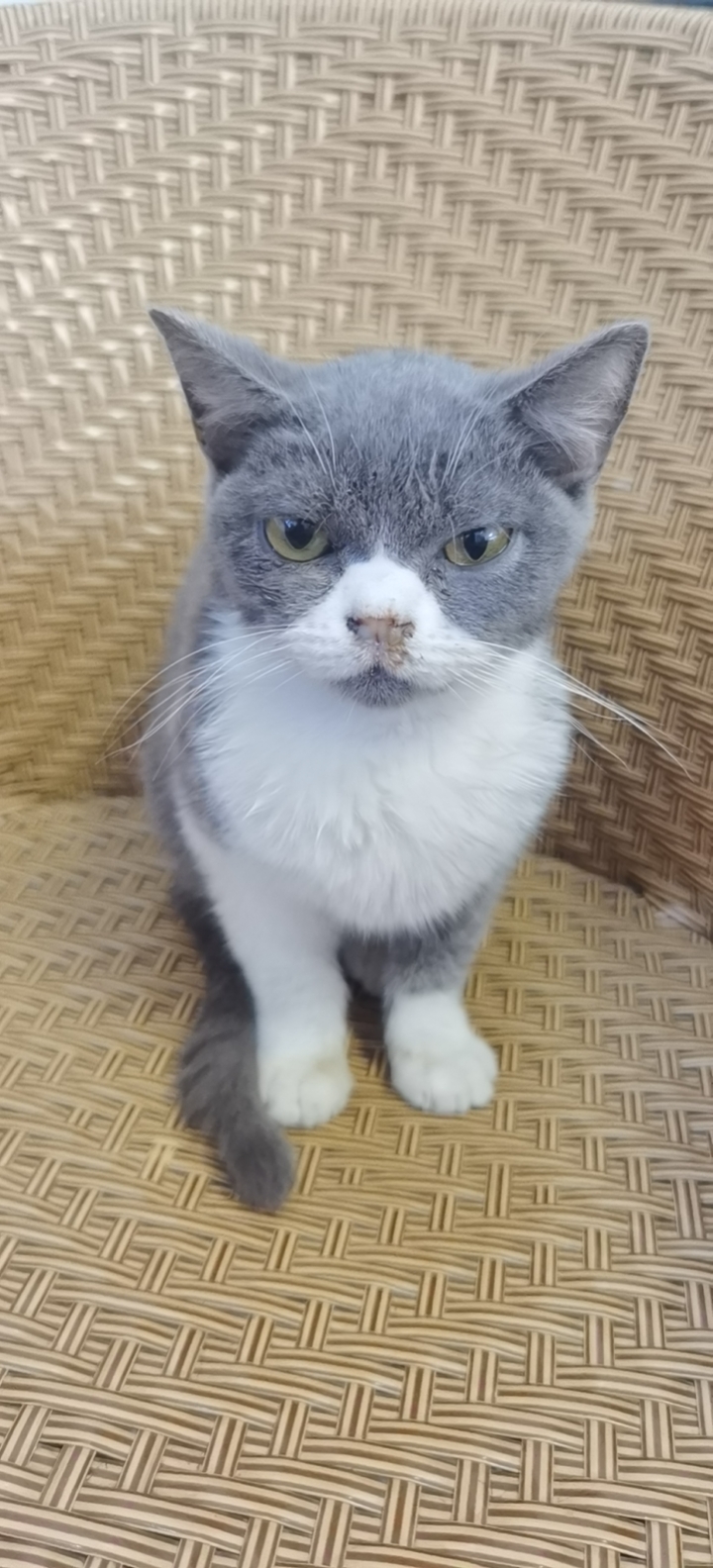 鿴ͼƬ