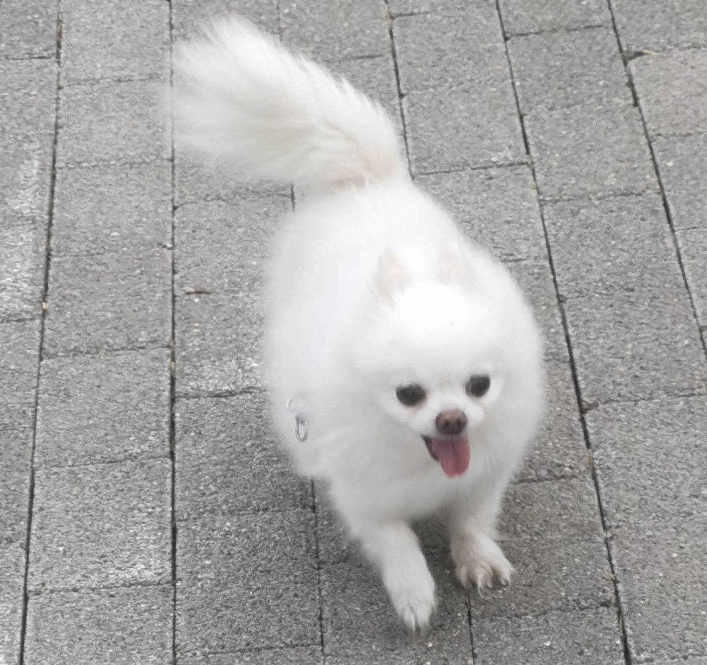 鿴ͼƬ