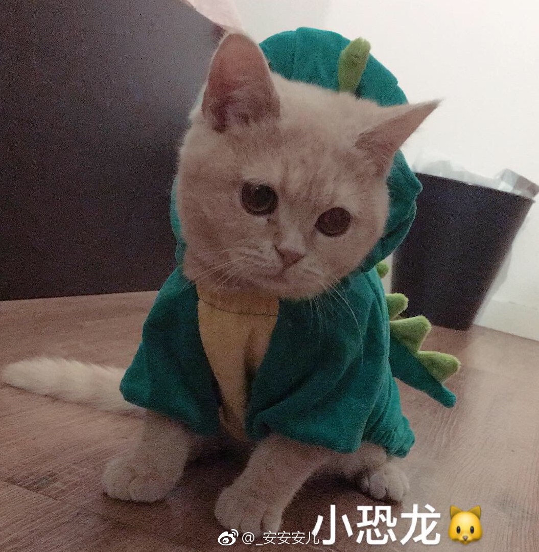 鿴ͼƬ