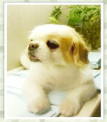 鿴ͼƬ