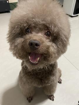 鿴ͼƬ
