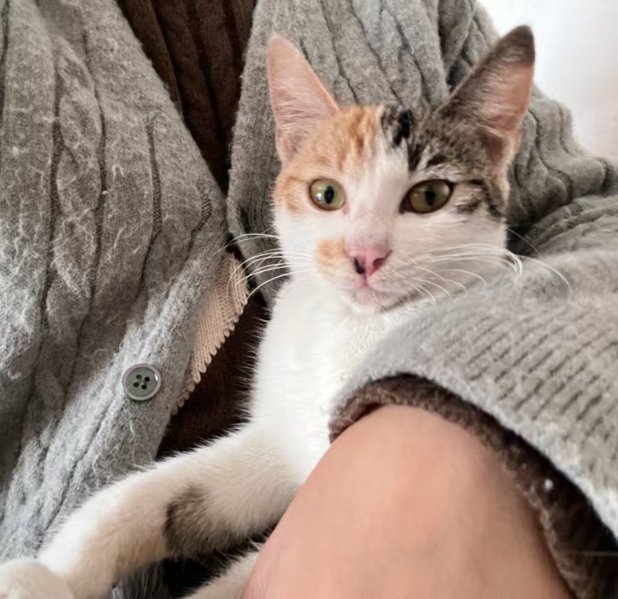 鿴ͼƬ