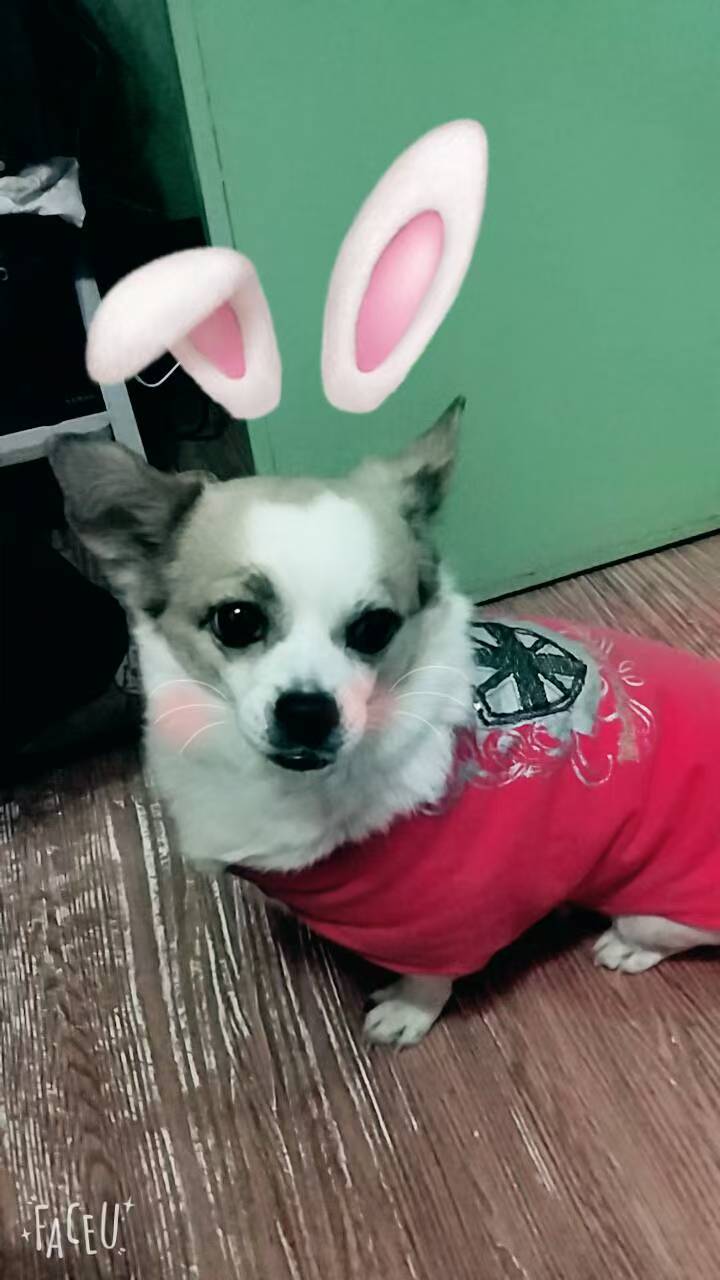 鿴ͼƬ
