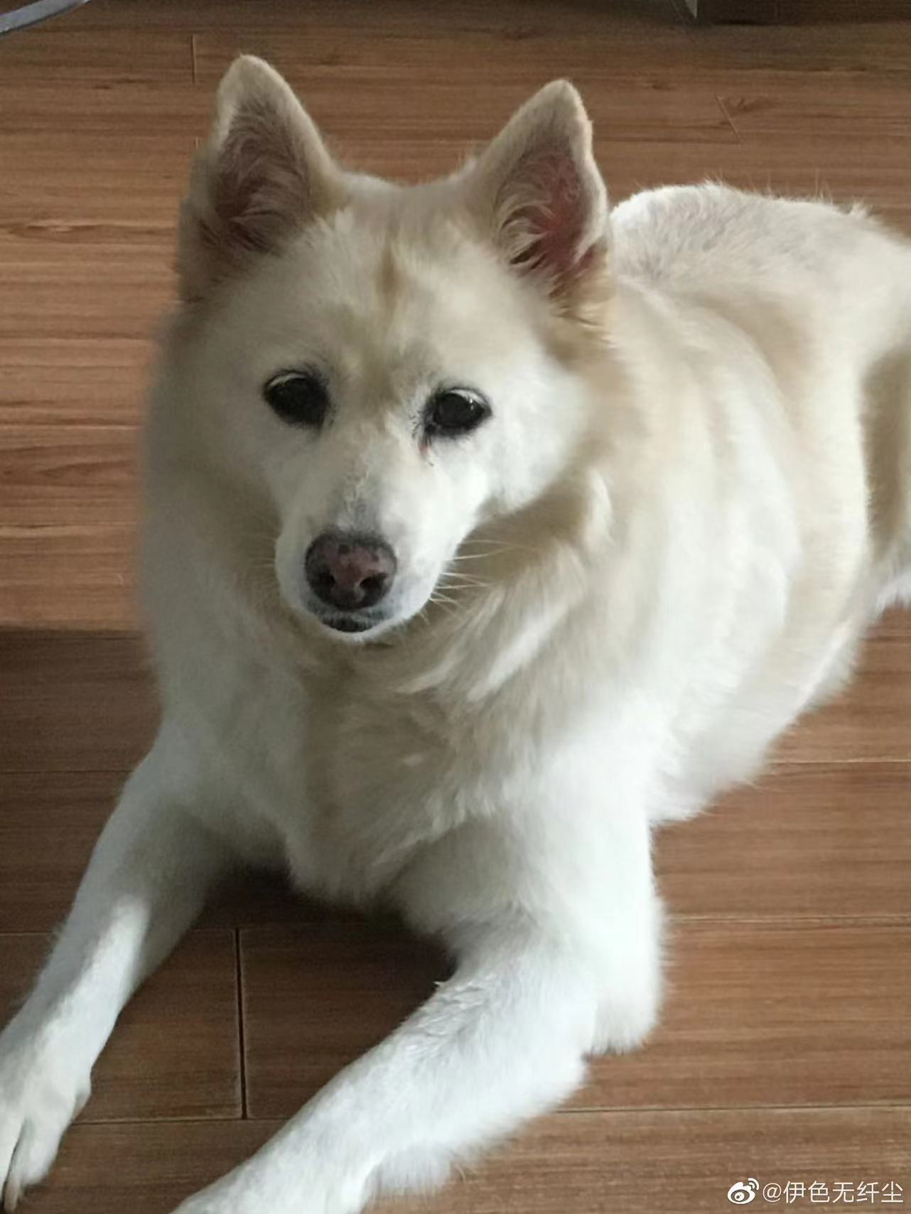 鿴ͼƬ