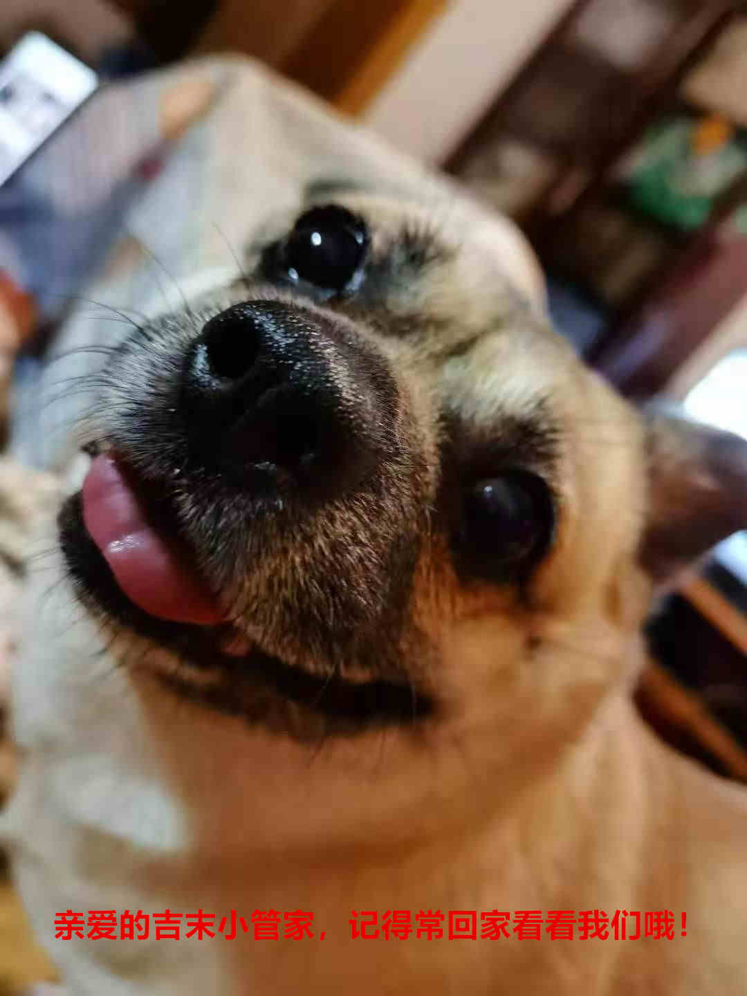 鿴ͼƬ
