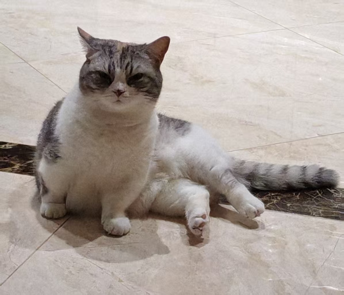 �鿴ͼƬ