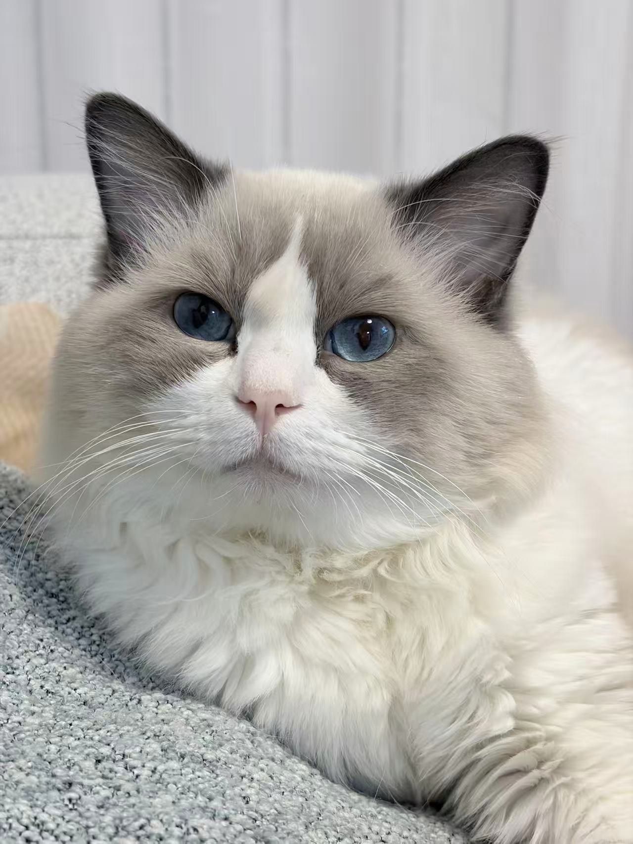 �鿴ͼƬ