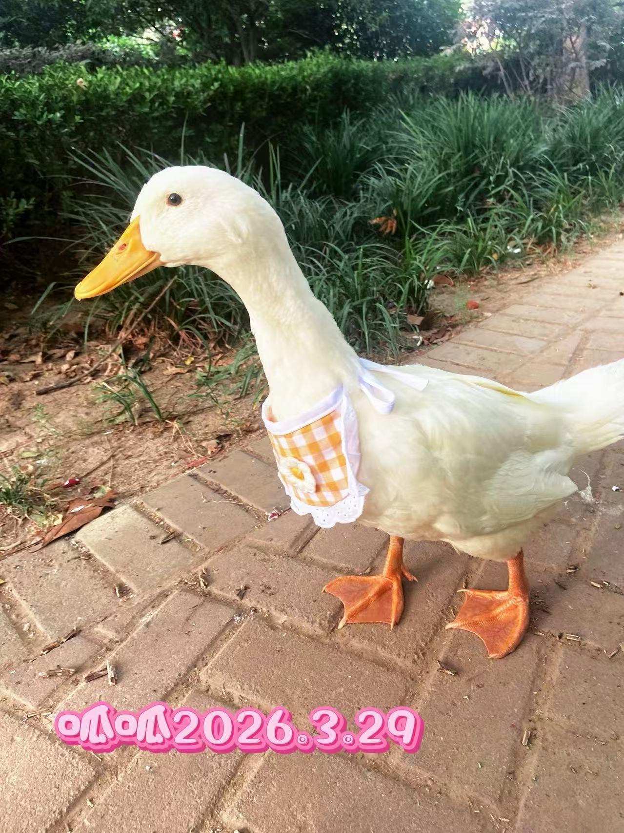 �鿴ͼƬ
