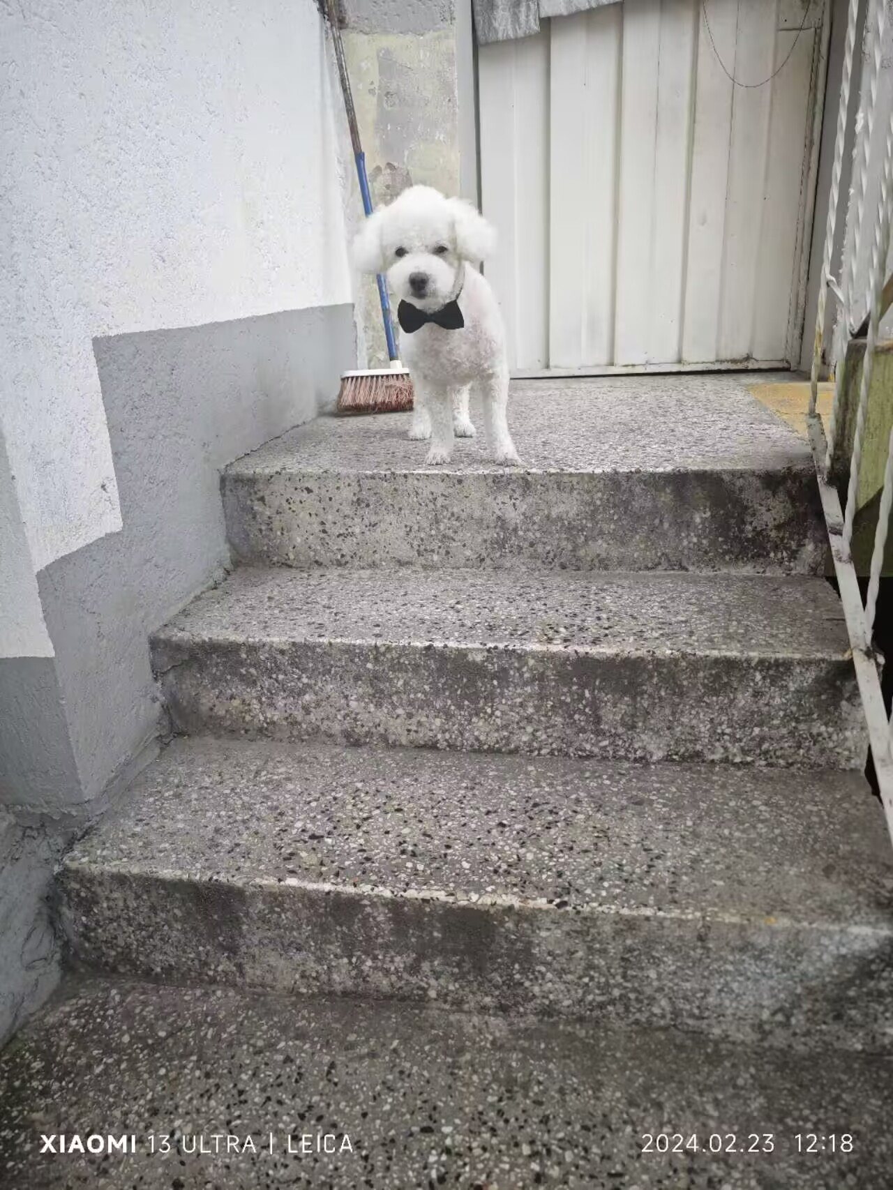 �鿴ͼƬ