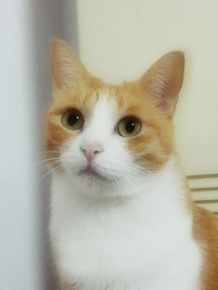 �鿴ͼƬ